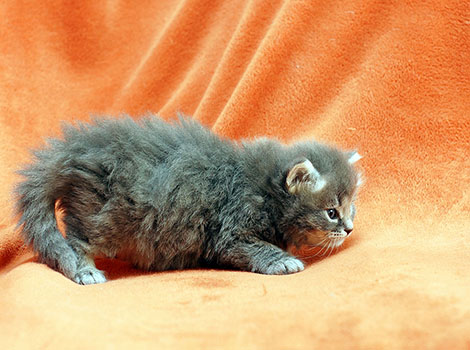 Frieda am 28.03.2021